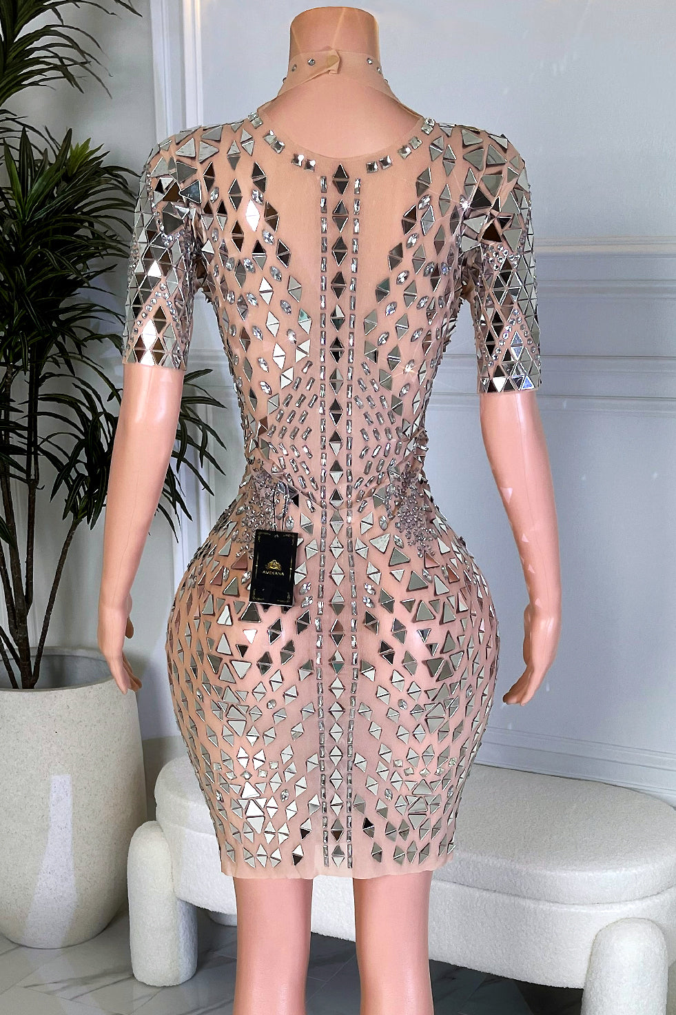 Penil Mirror Mesh Dress (Pre-Order)