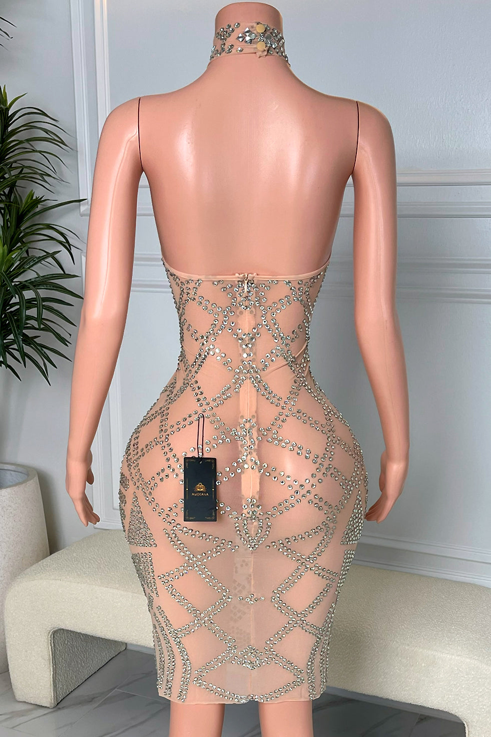Berkeley Diamante Dress(Ready To Ship)
