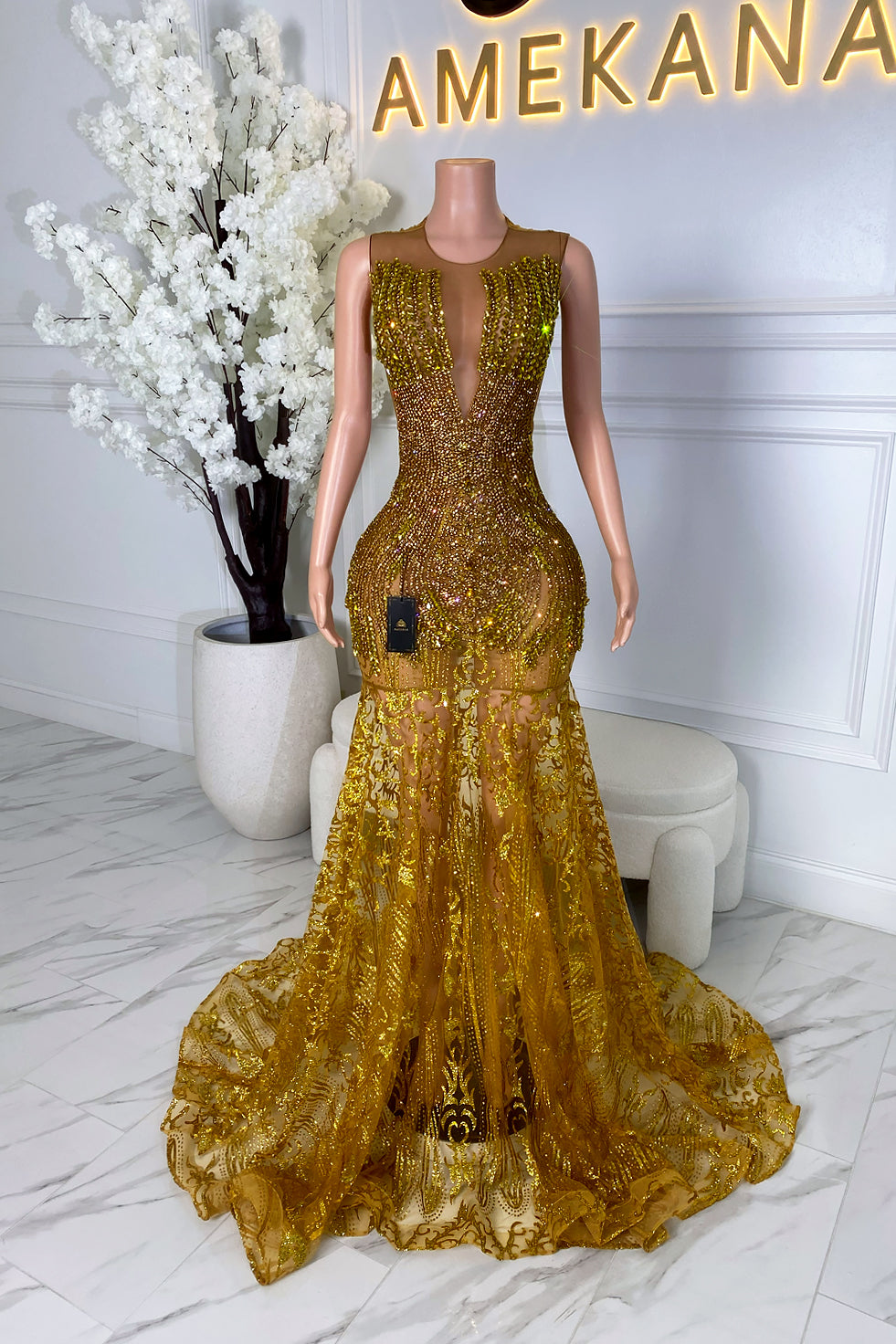 Front view of a gold crystal lace dress with deep plunge front, beaded bodice, sheer lace skirt, mermaid silhouette, and flowing train.