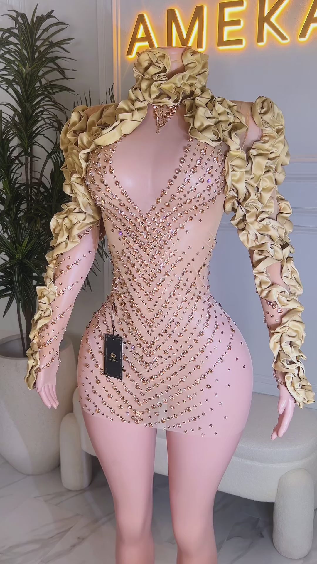 Vionette Dress (Ready To Ship)