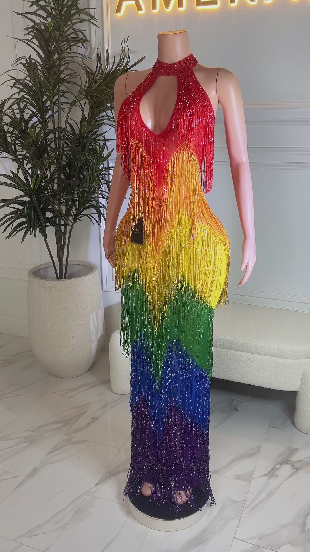 Viva La Color Fringe Dress (Pre-Order)