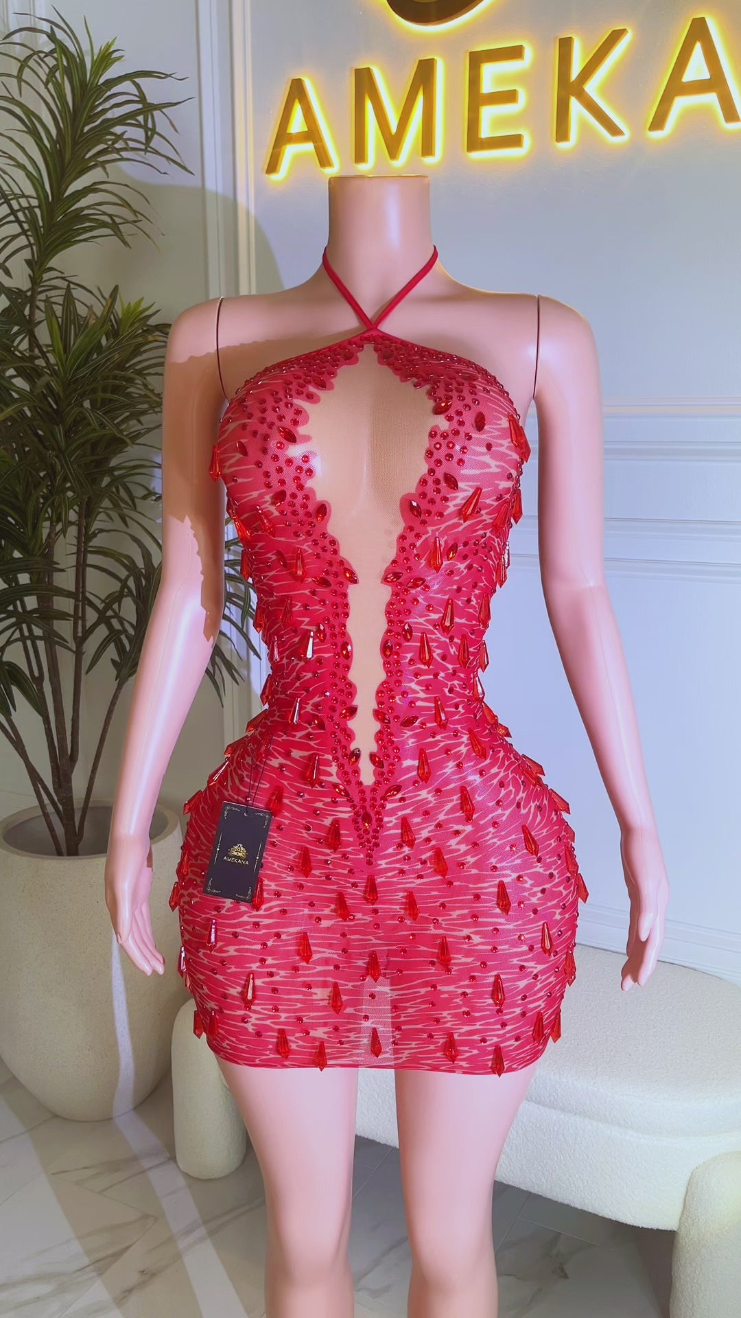 Dangerous Desire Red Dress (Pre-Order)