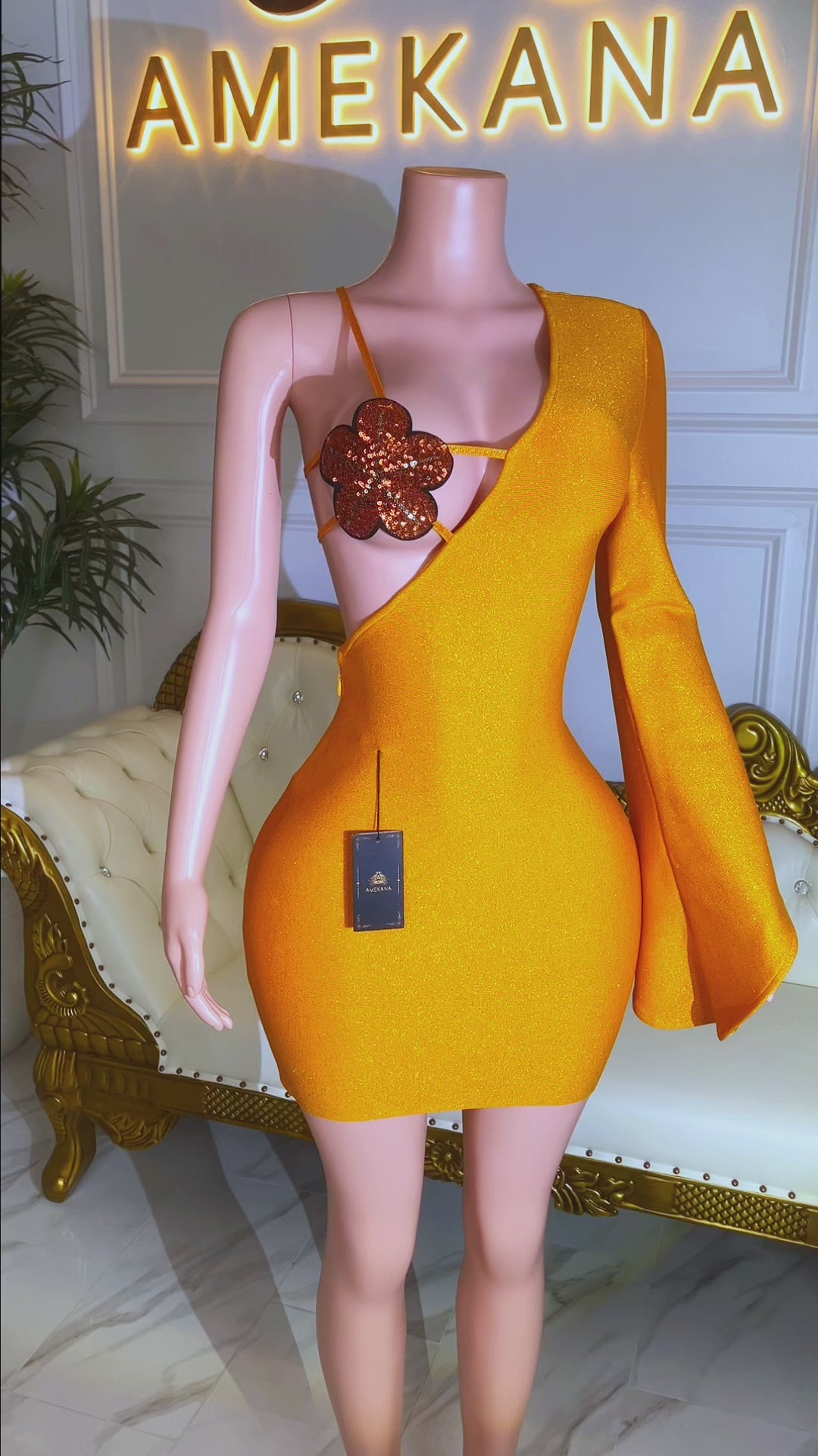 Tauret Mini Dress (Pre-Order)